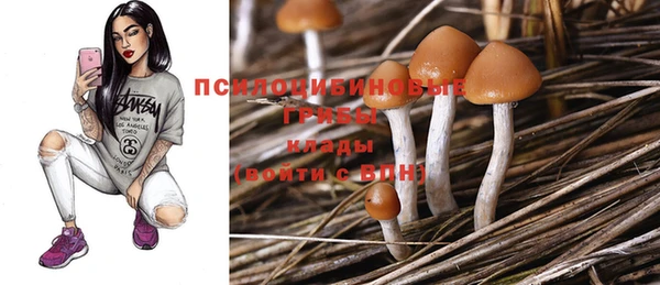 Альфа ПВП Костерёво