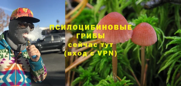 Альфа ПВП Костерёво