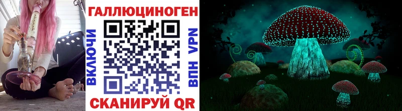 хочу наркоту  Саянск  Галлюциногенные грибы мухоморы 